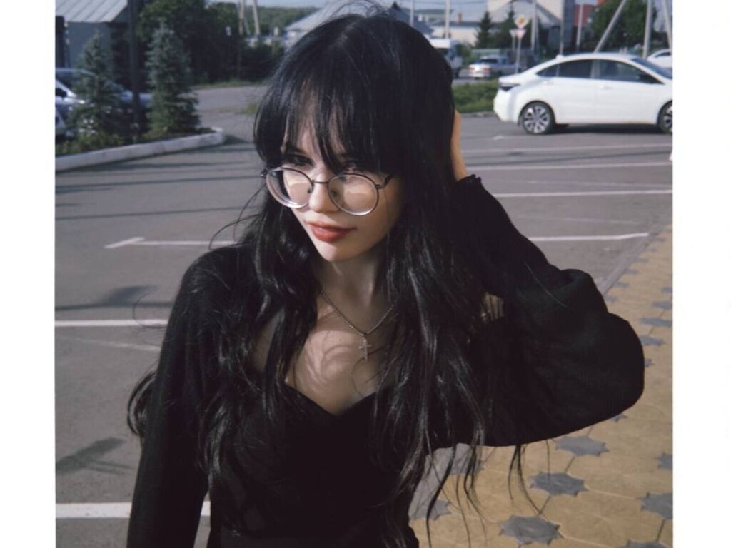 Enter DiannSchiebel VIP Show