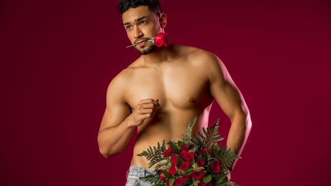 Enter DominicRoss VIP Show